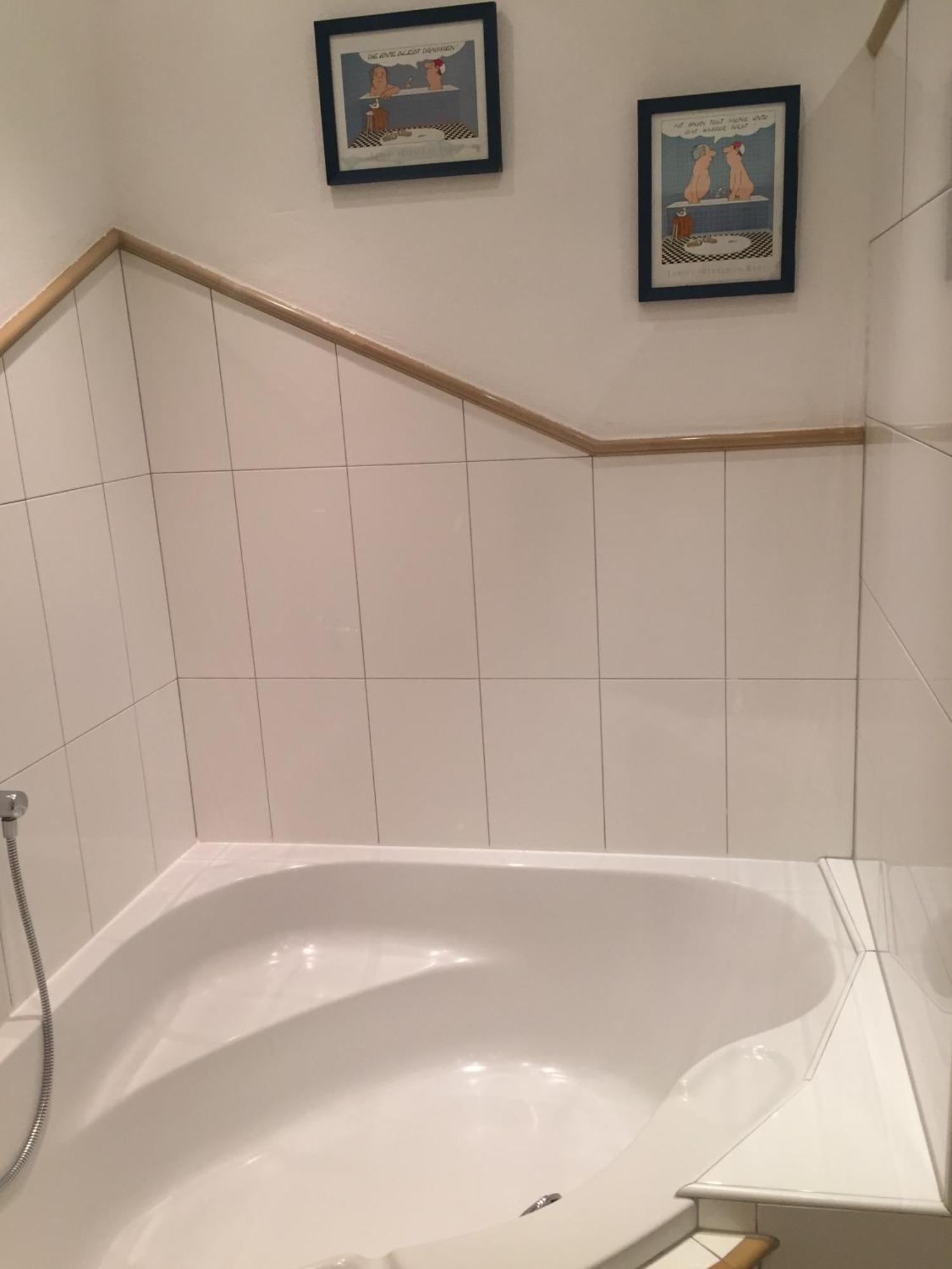 Ferienwohnungen Ellmer Flachau Oda fotoğraf