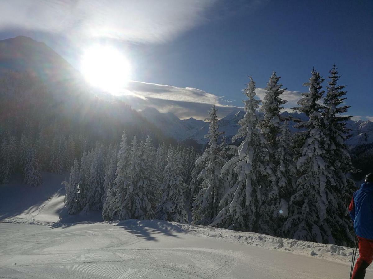 Ferienwohnungen Ellmer Flachau Dış mekan fotoğraf